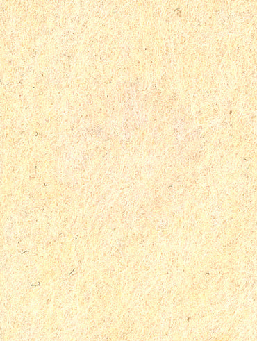 pet felt