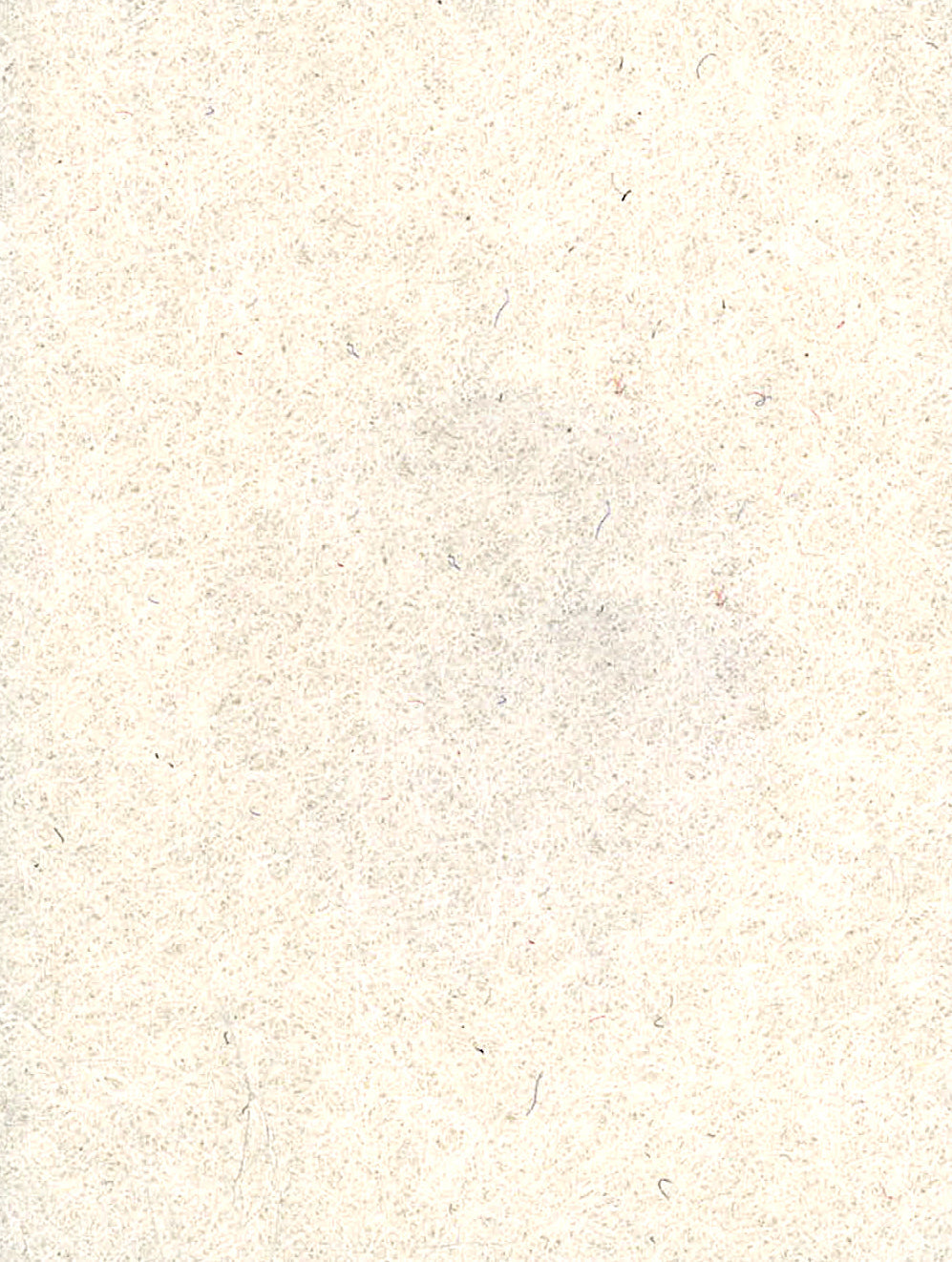 pet filc ploce paneli.hr